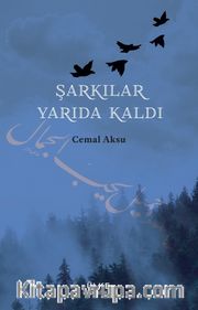 Şarkılar Yarıda Kaldı