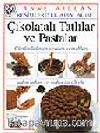 Çikolatalı Tatlılar ve Pastalar / Resimleriye Adım Adım