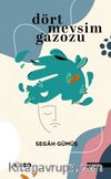Dört Mevsim Gazozu