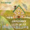 Gökyüzünden Gelen Gri Tüy