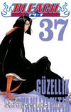 Bleach Cilt 37