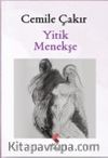 Yitik Menekşe