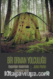 Bir Orman Yolculuğu