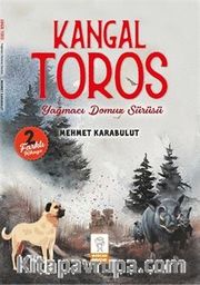 Kangal Toros / Yağmacı Domuz Sürüsü
