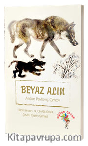 Beyaz Alın