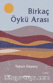 Birkaç Öykü Arası