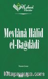 Nebevi Varisler 83 / Mevlana Halid el-Bağdadı
