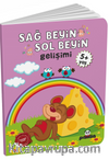 Sağ Beyin-Sol Beyin Gelişimi (5+ Yaş)