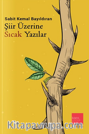 Şiir Üzerine Sıcak Yazılar