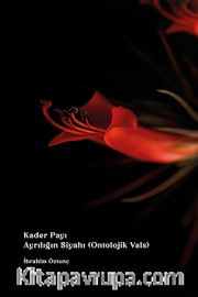 Kader Payı <br /> Ayrılığın Siyahı “Ontolojik Vals”