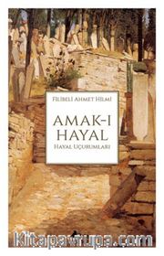 Amak-ı Hayal <br /> Hayal Uçurumları