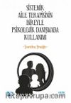 Sistemik Aile Terapisinin Bireyle Psikolojik Danışmada Kullanımı & Teoriden Pratiğe