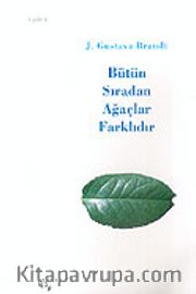 Bütün Sıradan Ağaçlar Farklıdır