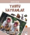 Adım Adım Yavru Hayvanlar