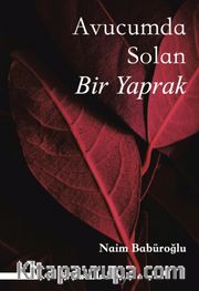Avucumda Solan Bir Yaprak