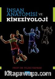 İnsan Anatomisi ve Kineziyoloji