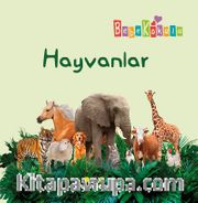 Hayvanlar