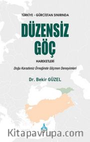 Türkiye-Gürcistan Sınırında Düzensiz Göç Hareketleri <br /> Doğu Karadeniz Örneğinde Göçmen Deneyimleri