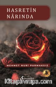 Hasretin Narında