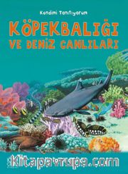 Köpekbalığı ve Deniz Canlılarına Soralım