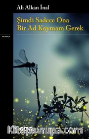 Şimdi Sadece Ona Bir Ad Koymam Gerek