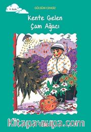 Kente Gelen Çam Ağacı
