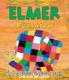Elmer Rüzgarda