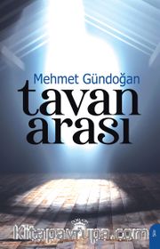 Tavan Arası