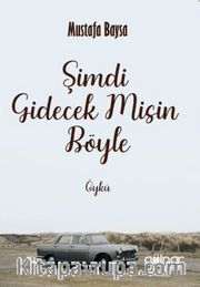 Şimdi Gidecek Misin Böyle