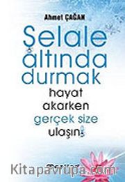 Şelale Altında Durmak / Hayat Akarken Gerçek Size Ulaşın