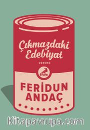 Çıkmazdaki Edebiyat
