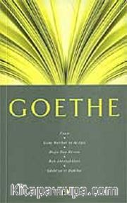 Goethe / Fikir Mimarları Dizisi