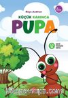 Küçük Karınca Pupa