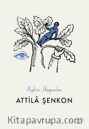 Aykırı Üçgenler