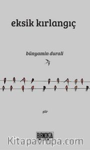 Eksik Kırlangıç
