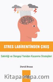 Stres Labirentinden Çıkış <br /> Sakinliği ve Dengeyi Yeniden Kazanma Stratejileri