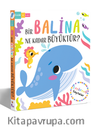 Bir Balina Ne Kadar Büyüktür? – Kaydır + Keşfet