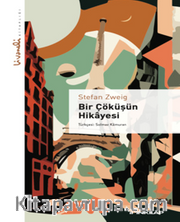 Bir Çöküşün Hikayesi - Livaneli Kitaplığı