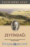 Zeytindağı