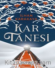 Kar Tanesi