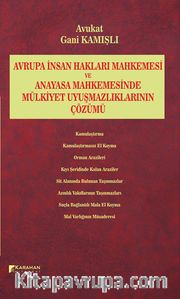 Avrupa İnsan Hakları Mahkemesi ve Anayasa Mahkemesinde Mülkiyet Uyuşmazlıklarının Çözümü