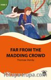 Far From Madding Crowd / Stage 3