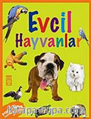 Evcil Hayvanlar / Hayvanlar Dizisi