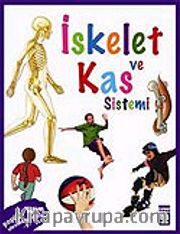 İskelet ve Kas Sistemi / Vücudumuz Dizisi