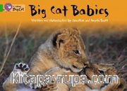 Big Cat Babies (Big Cat 5 Green)