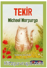 Tekir (Sen De Oku)