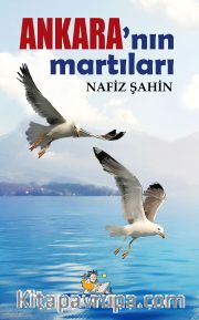 Ankara’nın Martıları