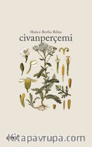 Civanperçemi