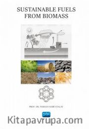 Sustainable Fuels From Biomass