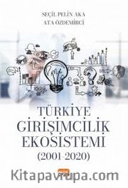 Türkiye Girişimcilik Ekosistemi (2001-2020)